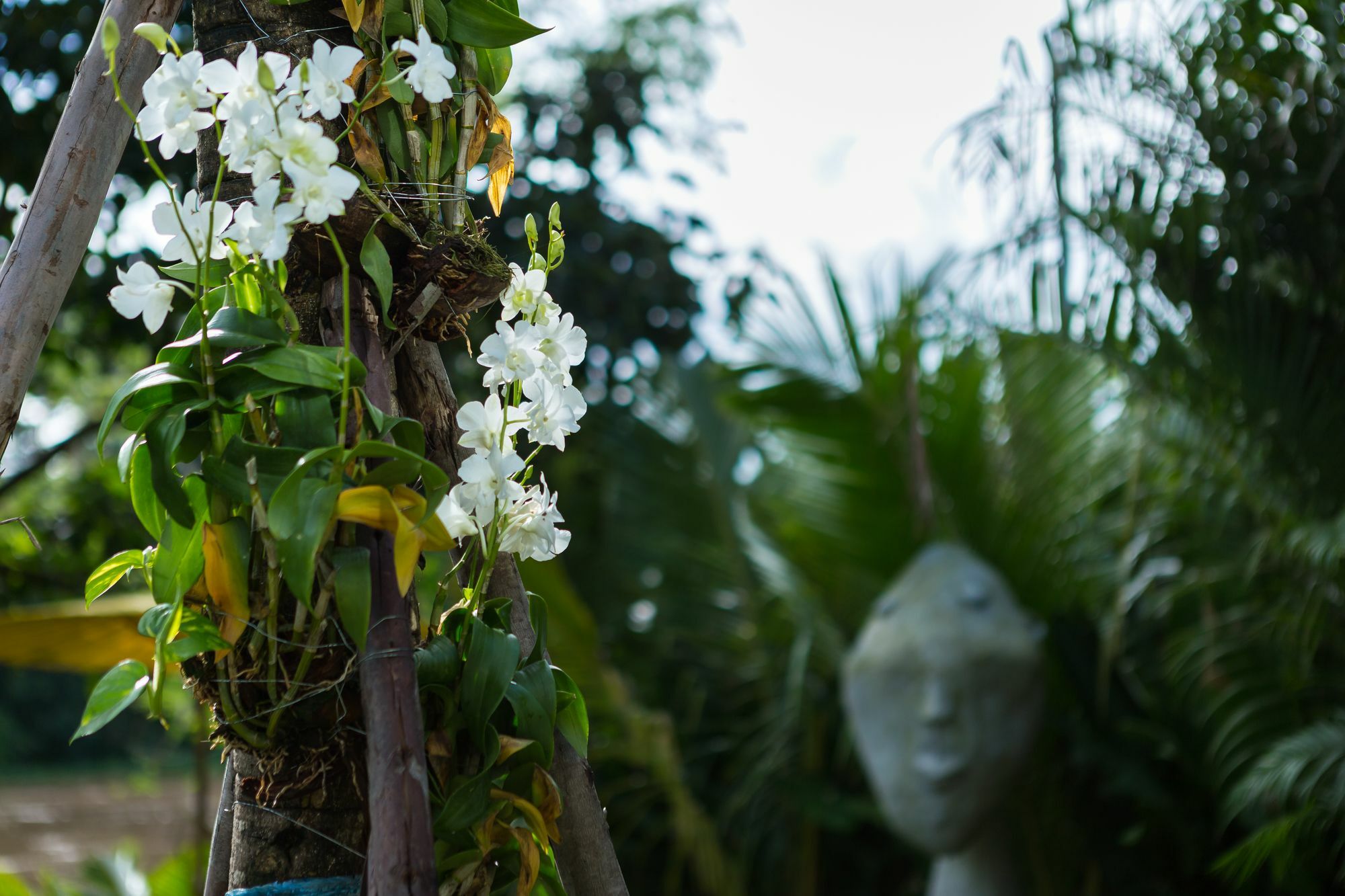 River Art Hotel Chiang Mai Dış mekan fotoğraf